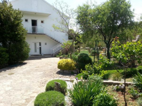Отель Apartments Vlade  Раслина